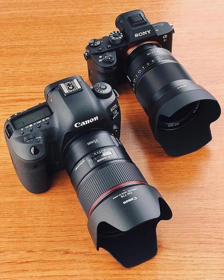 Canon EOS 5D Mark IV and Sony Alpha 7 II Camera Bundle